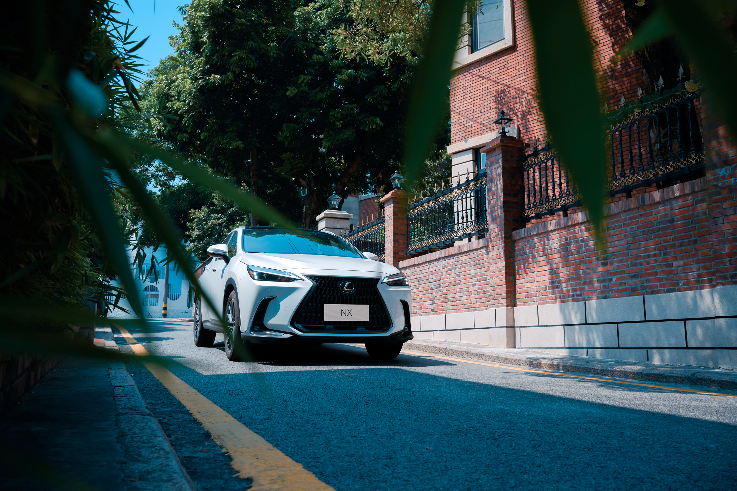 雷克薩斯NX|低月供僅需2419元起