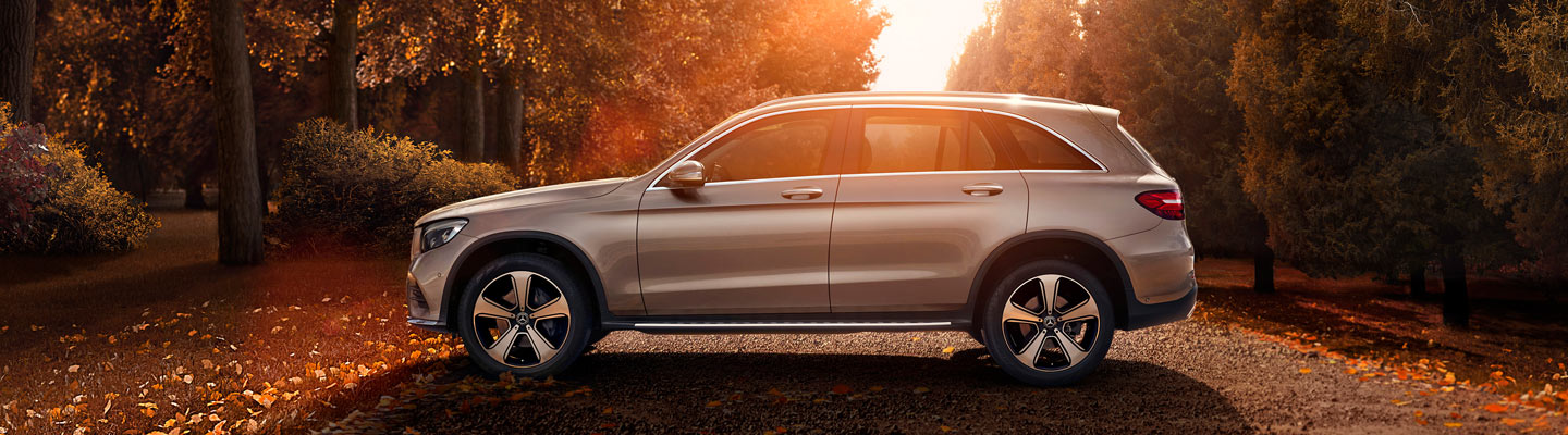 盡顯鋒芒，方才敢爲英雄