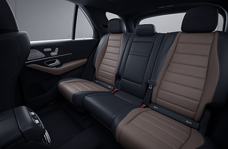 2020款 GLE 350 4MATIC 豪華型(圖16) 1