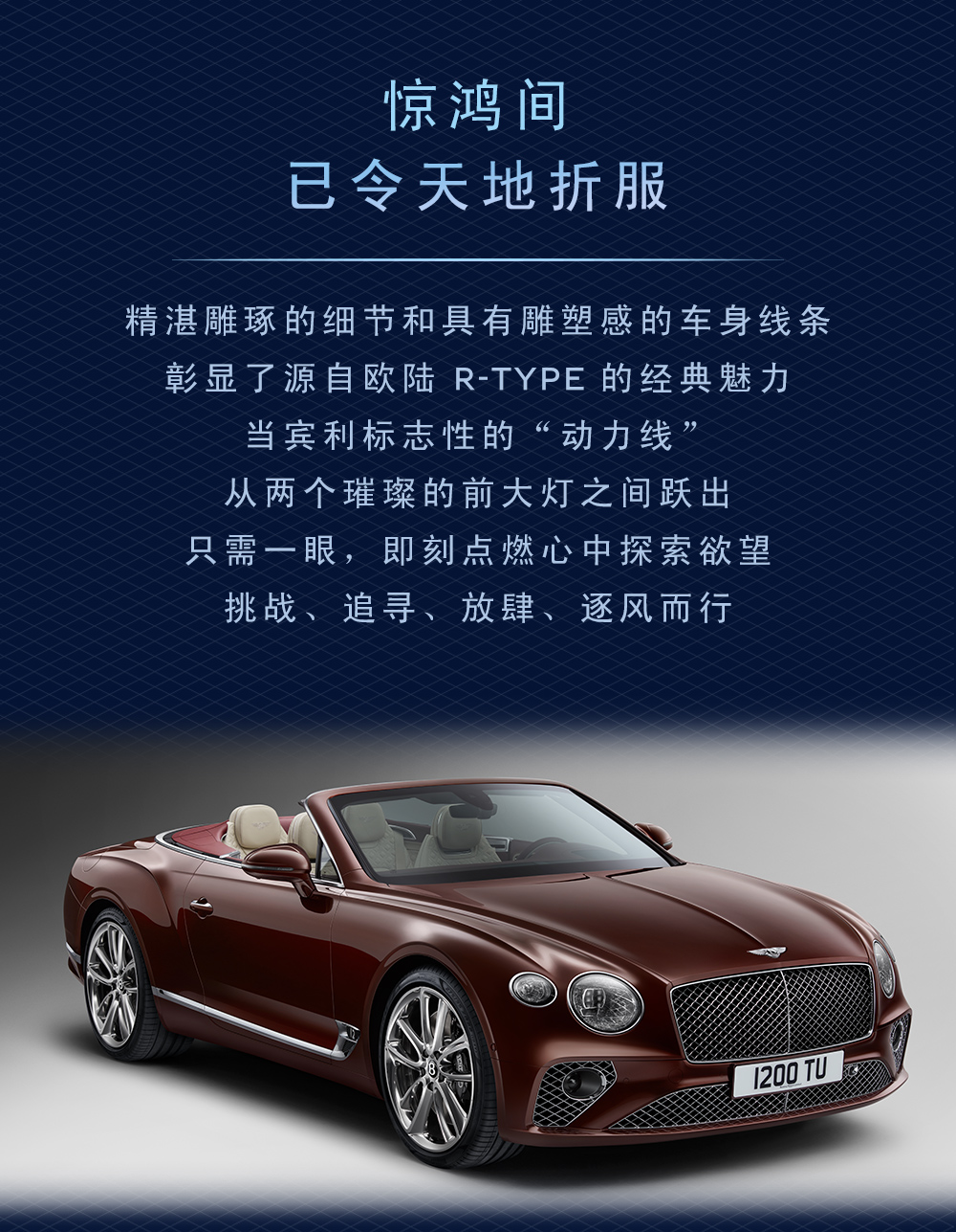 于廣袤天地間，縱情一夏(圖3)