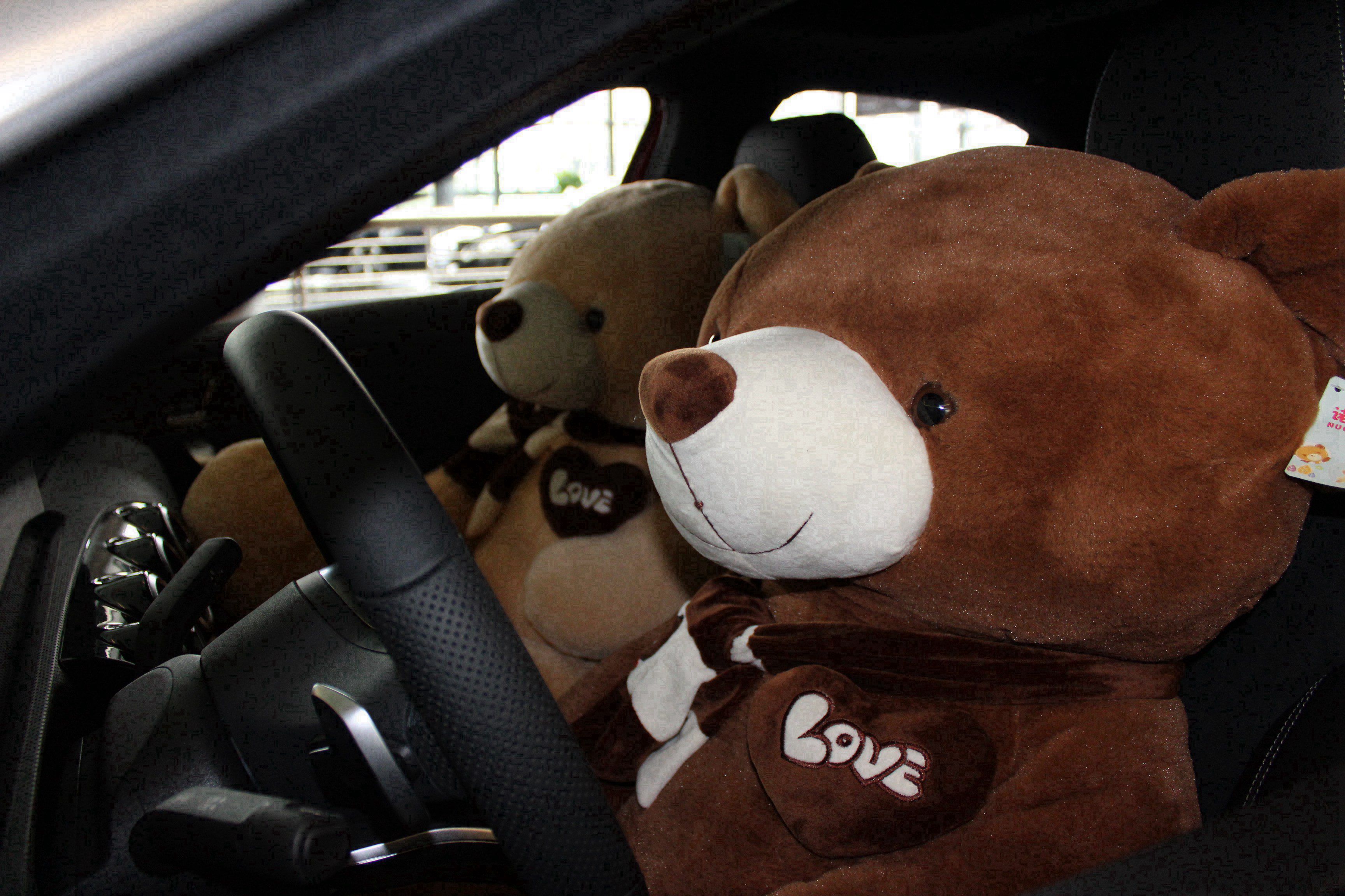 2019，愛你(nǐ)依舊 ——鴻粵星輝攜手夏加兒美術(shù)一起安全童行(圖10)